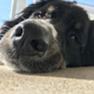 Meet your Posher, Raylee